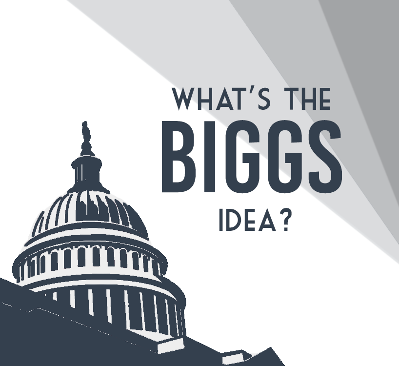 What's the Biggs Idea