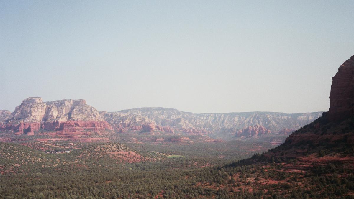 Arizona's wildlife